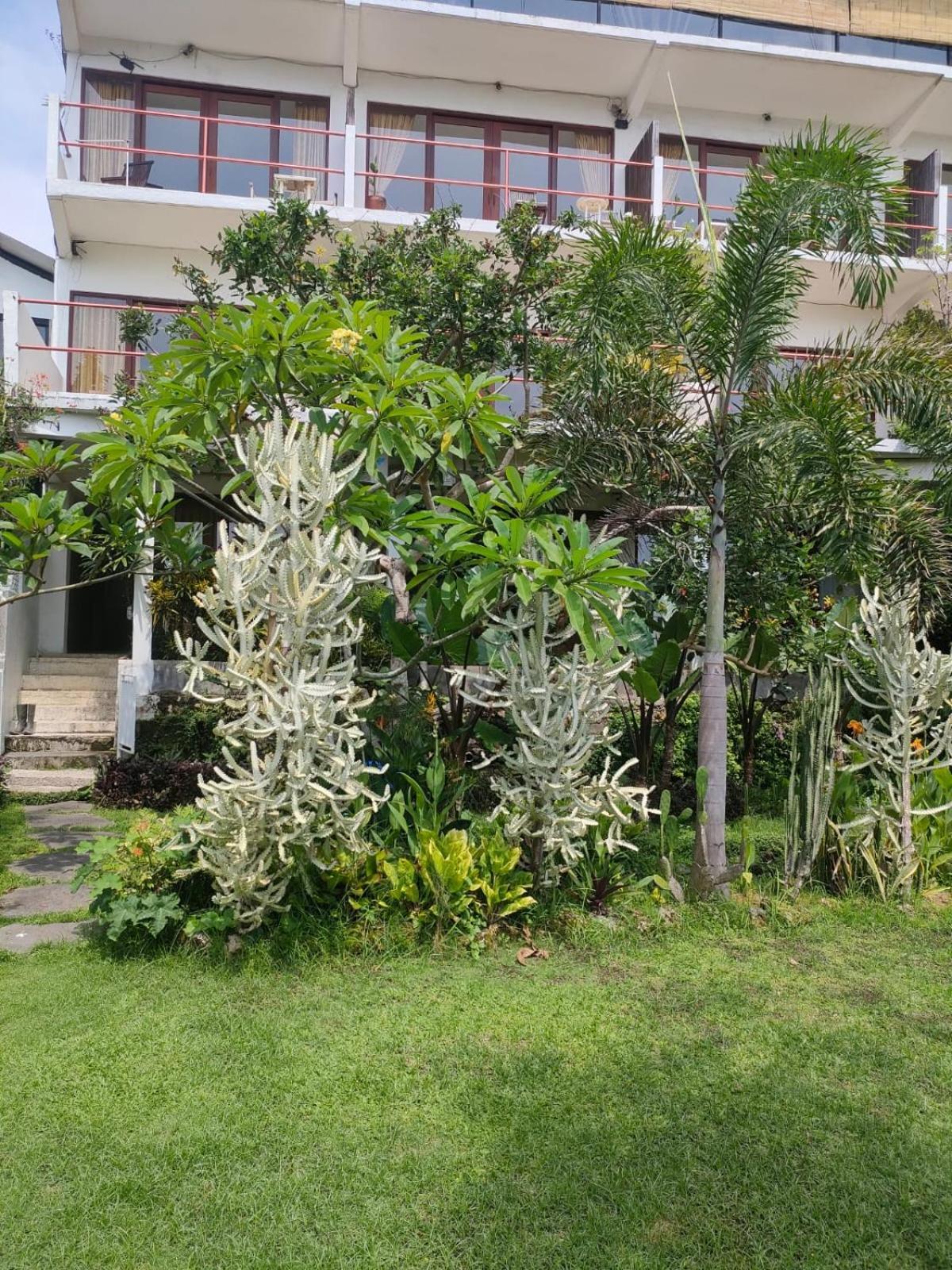 Villa Lotus 8 Canggu  Exterior photo