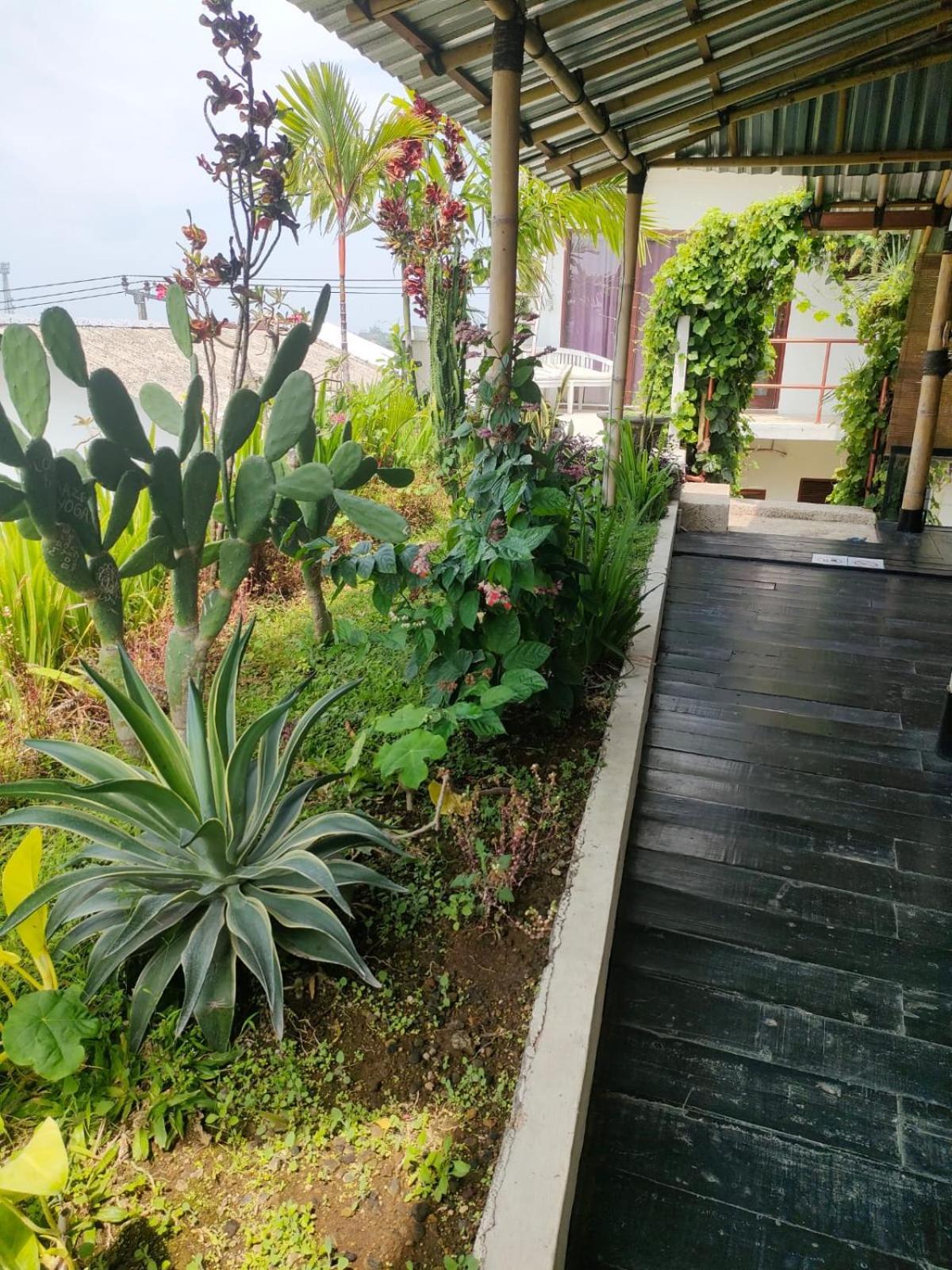 Villa Lotus 8 Canggu  Exterior photo